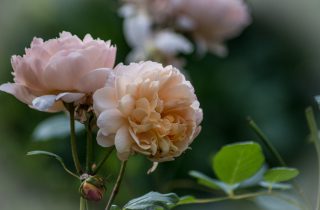 _D718031