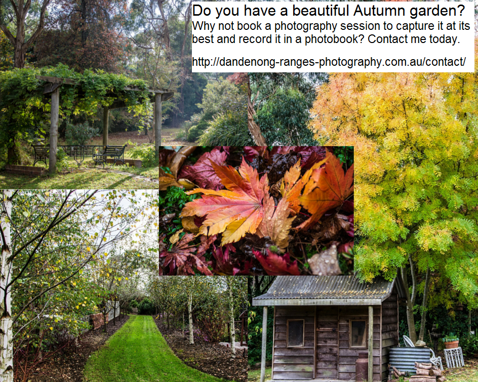 autumngardenphotography