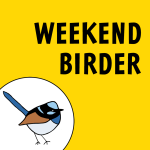 Weekend Birder Interview