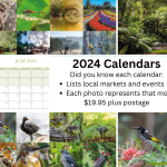 2024 Calendars - order yours today