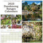 2025 Calendars are here!